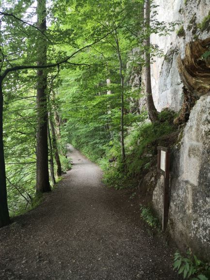 Weissensee-Wanderung